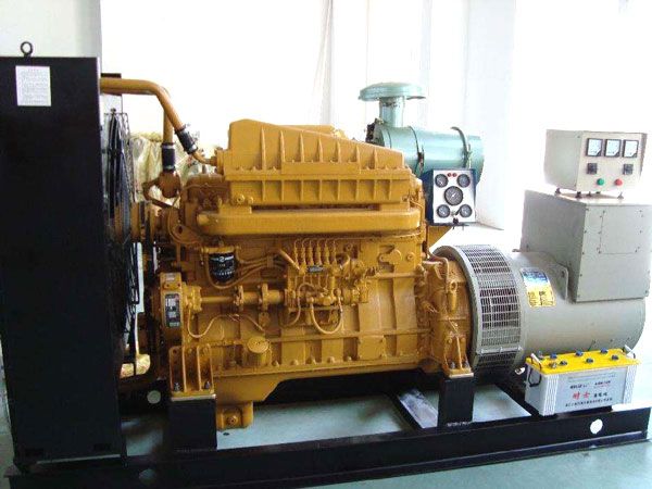 陇县有哪些有效的方法可以预防柴油发电机组的蓄电池出现硫化现象？